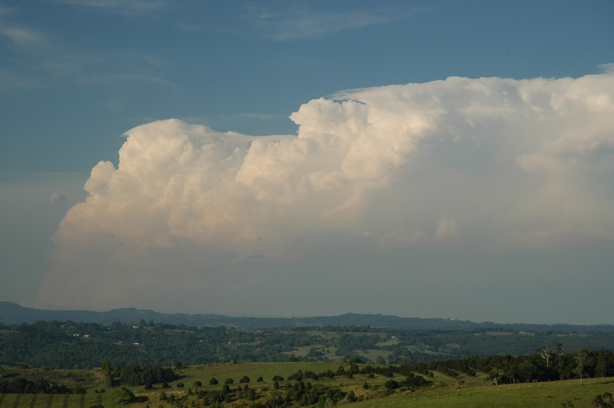 pileus pileus_cap_cloud : McLeans Ridges, NSW   15 November 2006