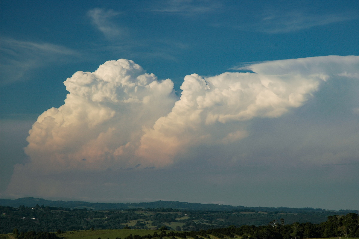 thunderstorm cumulonimbus_incus : McLeans Ridges, NSW   15 November 2006