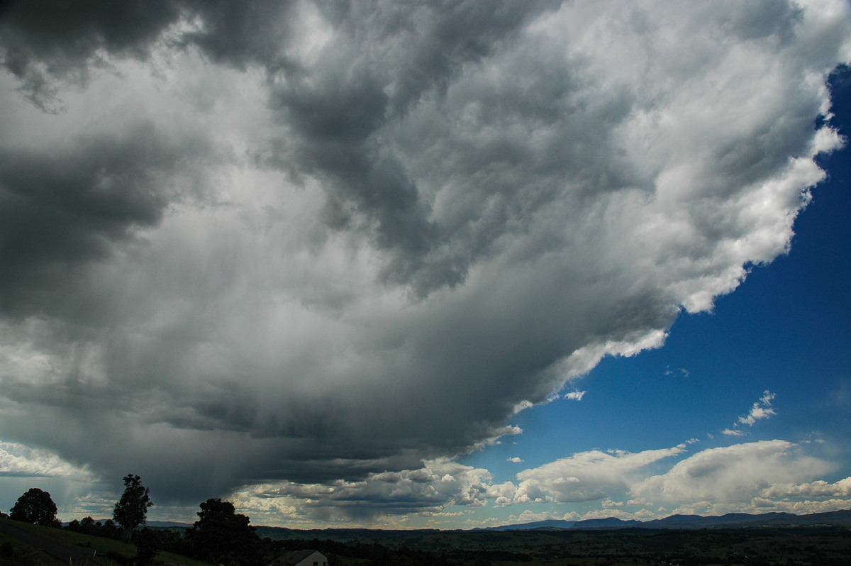 anvil thunderstorm_anvils : McLeans Ridges, NSW   16 November 2006