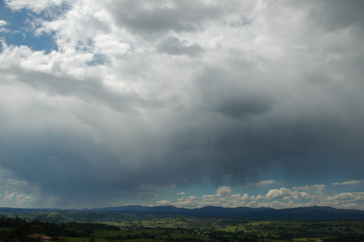 cumulus congestus : McLeans Ridges, NSW   16 November 2006