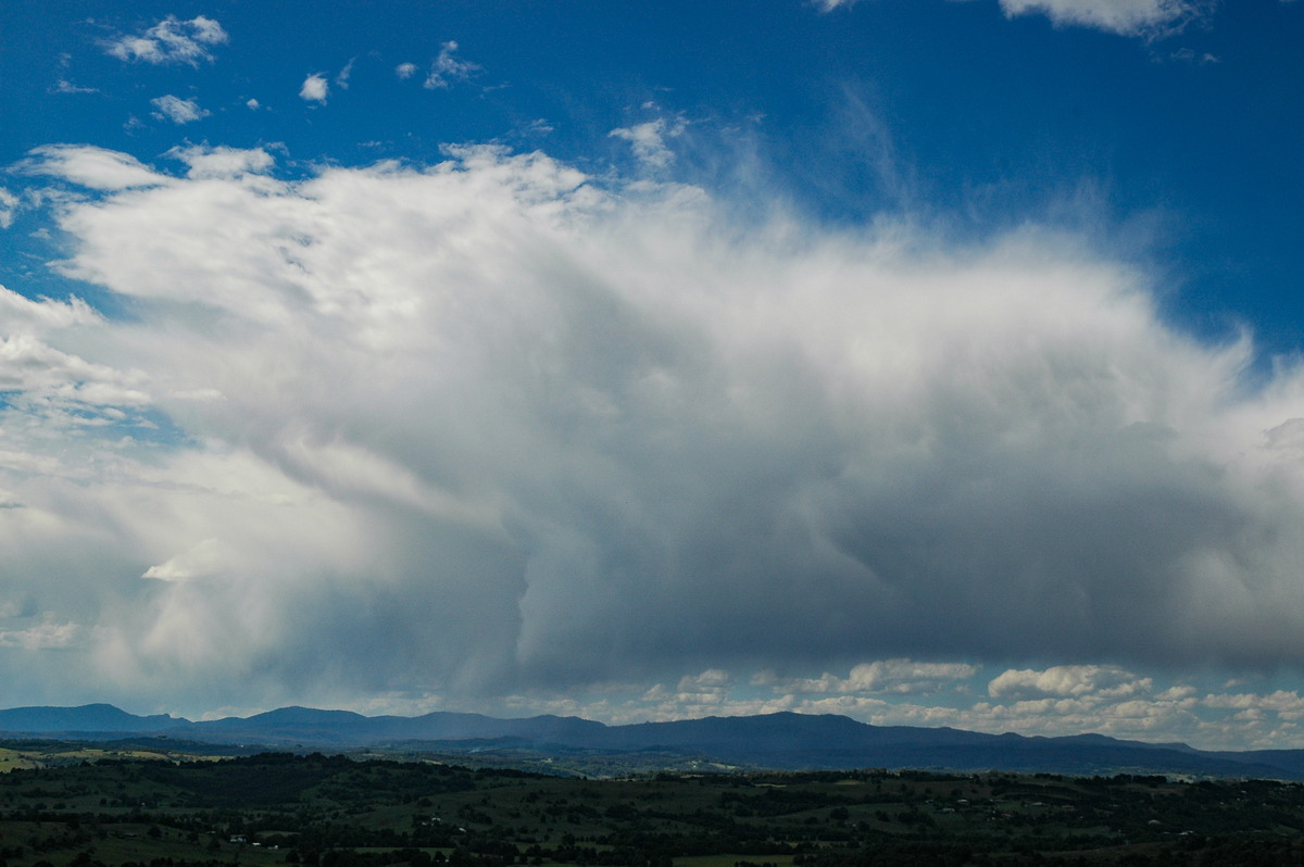 cumulus congestus : McLeans Ridges, NSW   16 November 2006