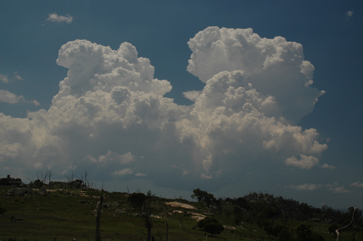 thunderstorm cumulonimbus_calvus : Tenterfield, NSW   24 November 2006