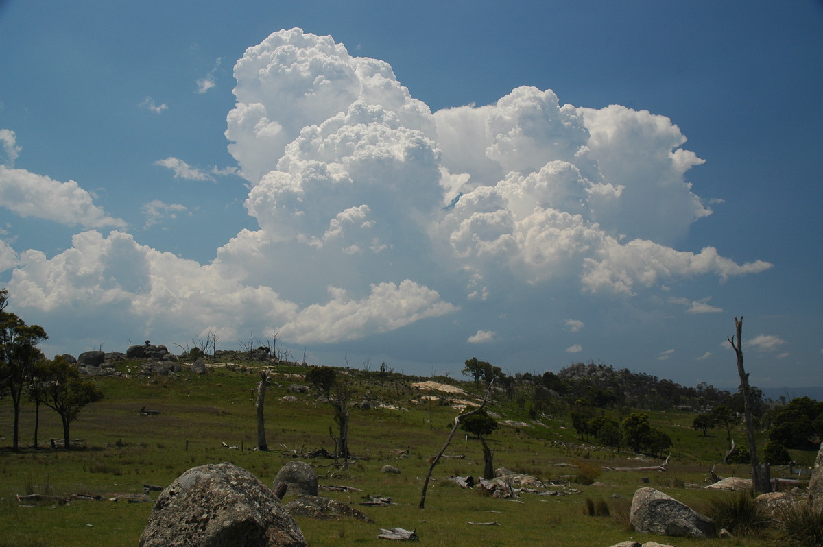 thunderstorm cumulonimbus_calvus : Tenterfield, NSW   24 November 2006