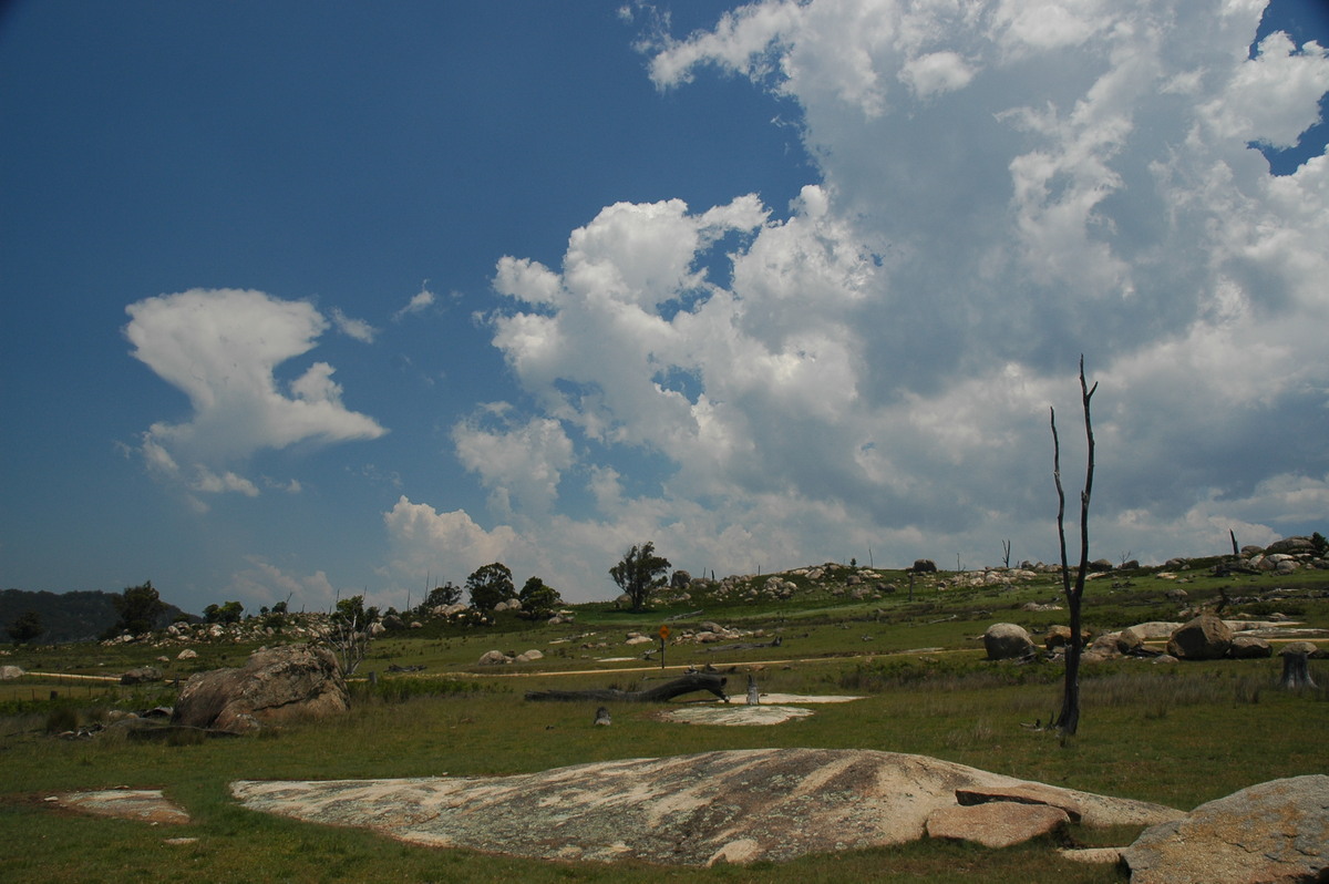 cumulus mediocris : Tenterfield, NSW   24 November 2006