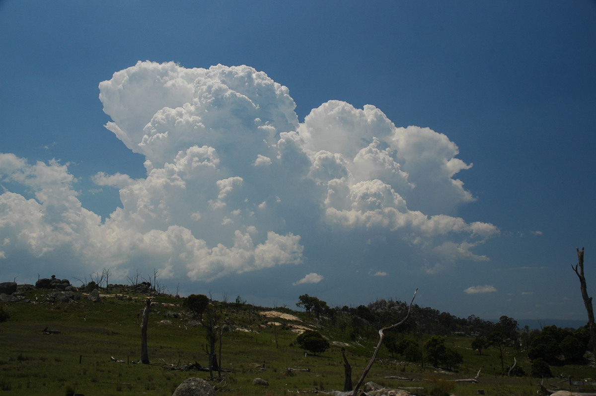 thunderstorm cumulonimbus_calvus : Tenterfield, NSW   24 November 2006