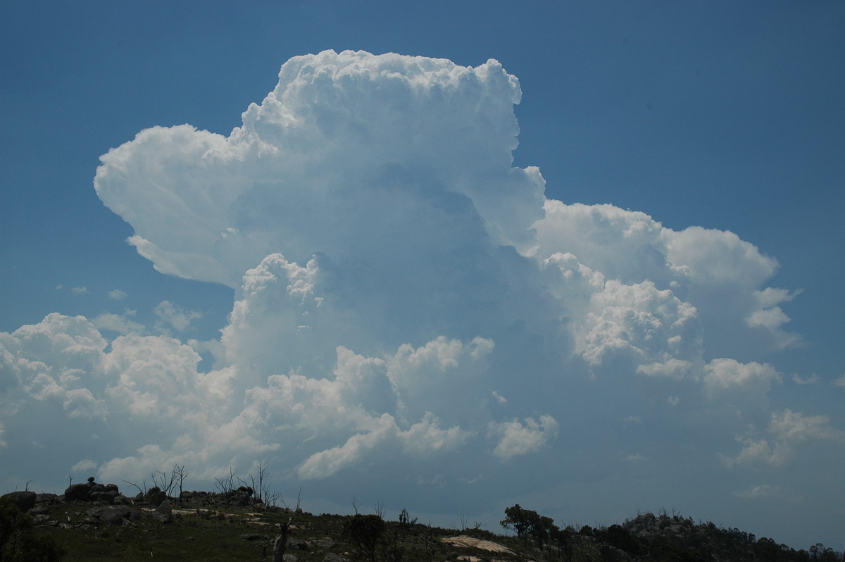 updraft thunderstorm_updrafts : Tenterfield, NSW   24 November 2006