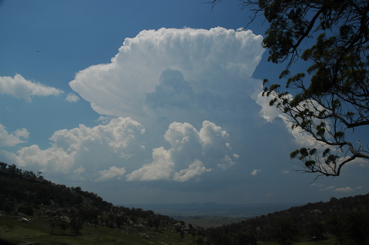 updraft thunderstorm_updrafts : Tenterfield, NSW   24 November 2006