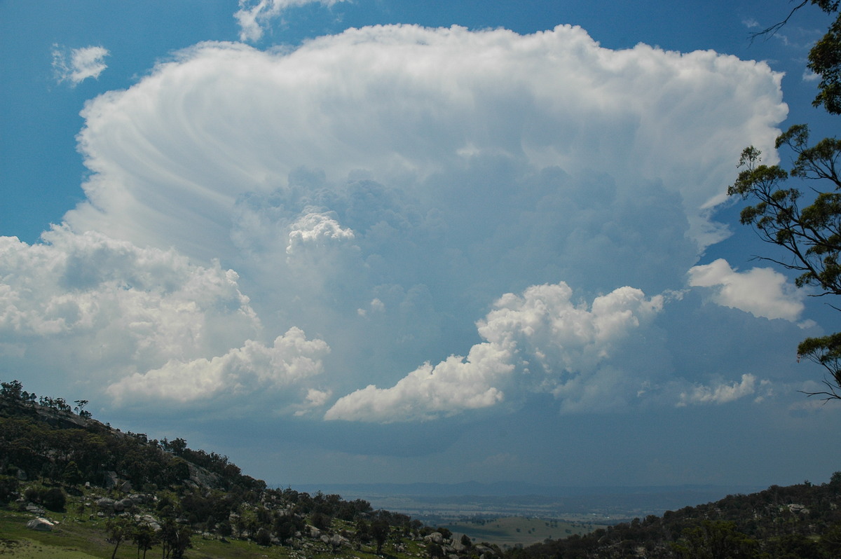 thunderstorm cumulonimbus_incus : Tenterfield, NSW   24 November 2006