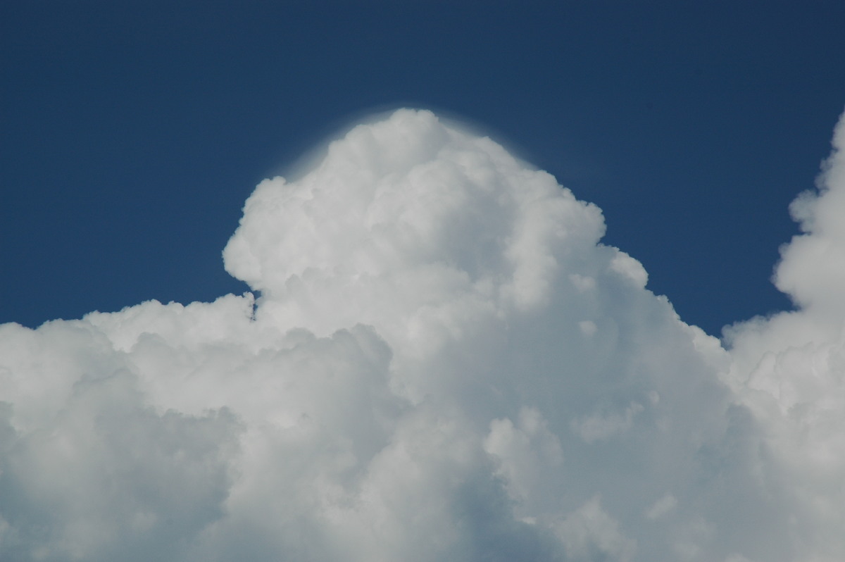 pileus pileus_cap_cloud : Myrtle Creek, NSW   26 November 2006