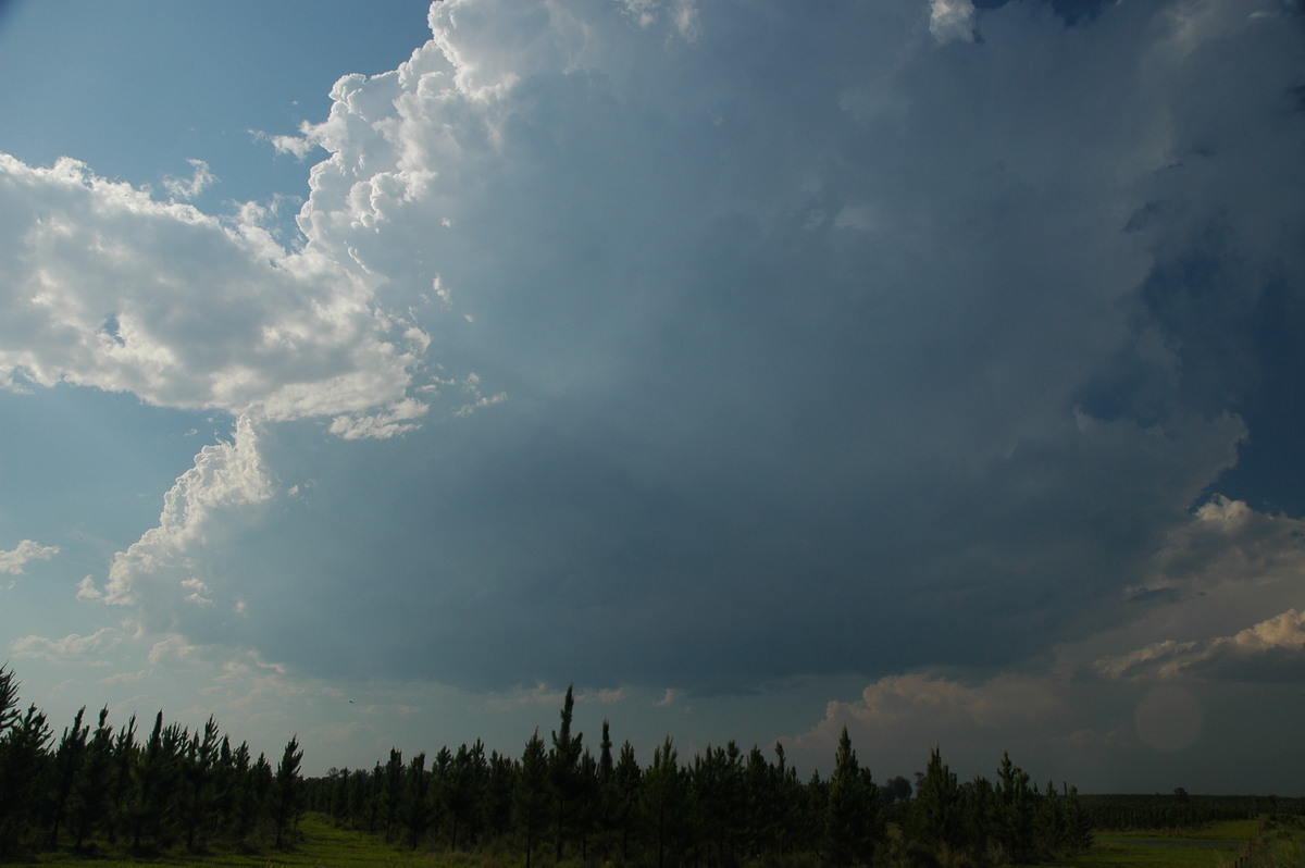 thunderstorm cumulonimbus_calvus : Coombell, NSW   26 November 2006