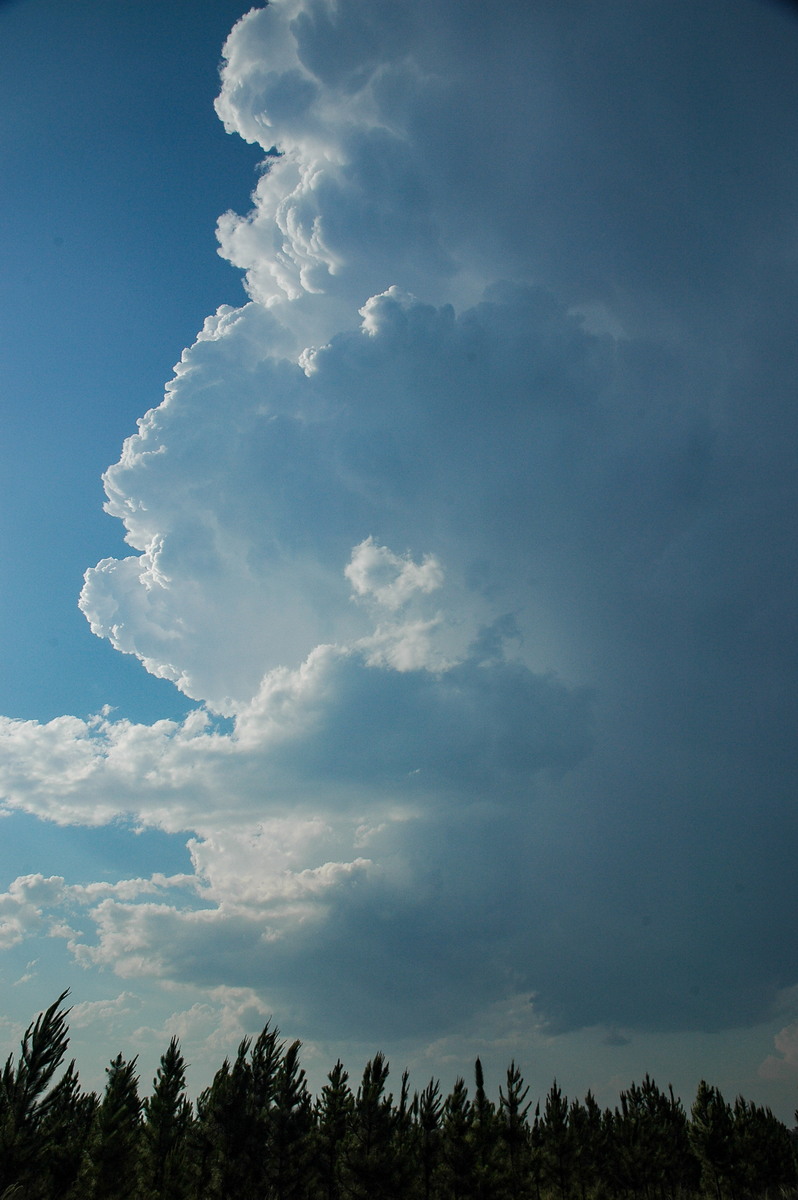 updraft thunderstorm_updrafts : Coombell, NSW   26 November 2006