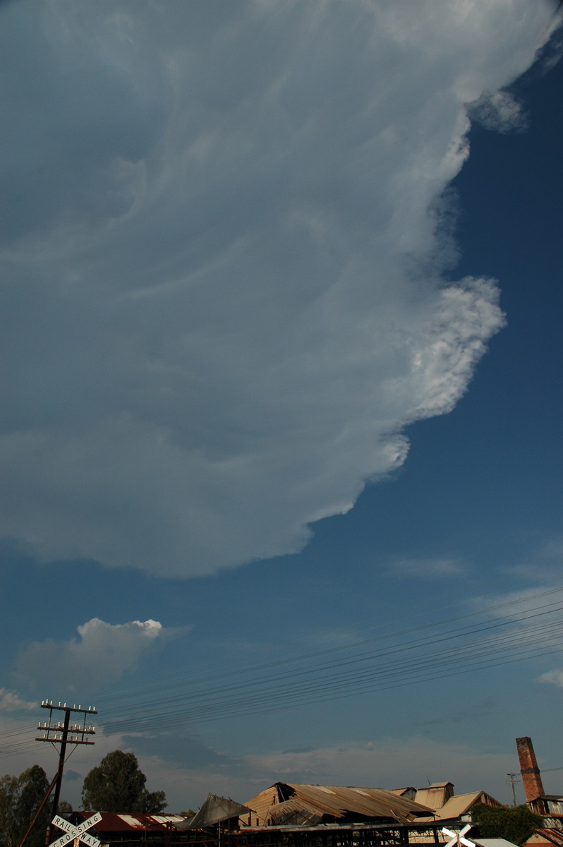 anvil thunderstorm_anvils : Coombell, NSW   26 November 2006