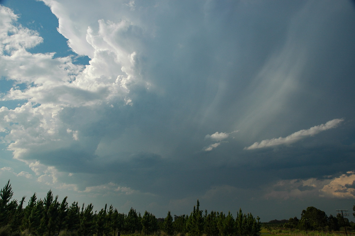 updraft thunderstorm_updrafts : Coombell, NSW   26 November 2006