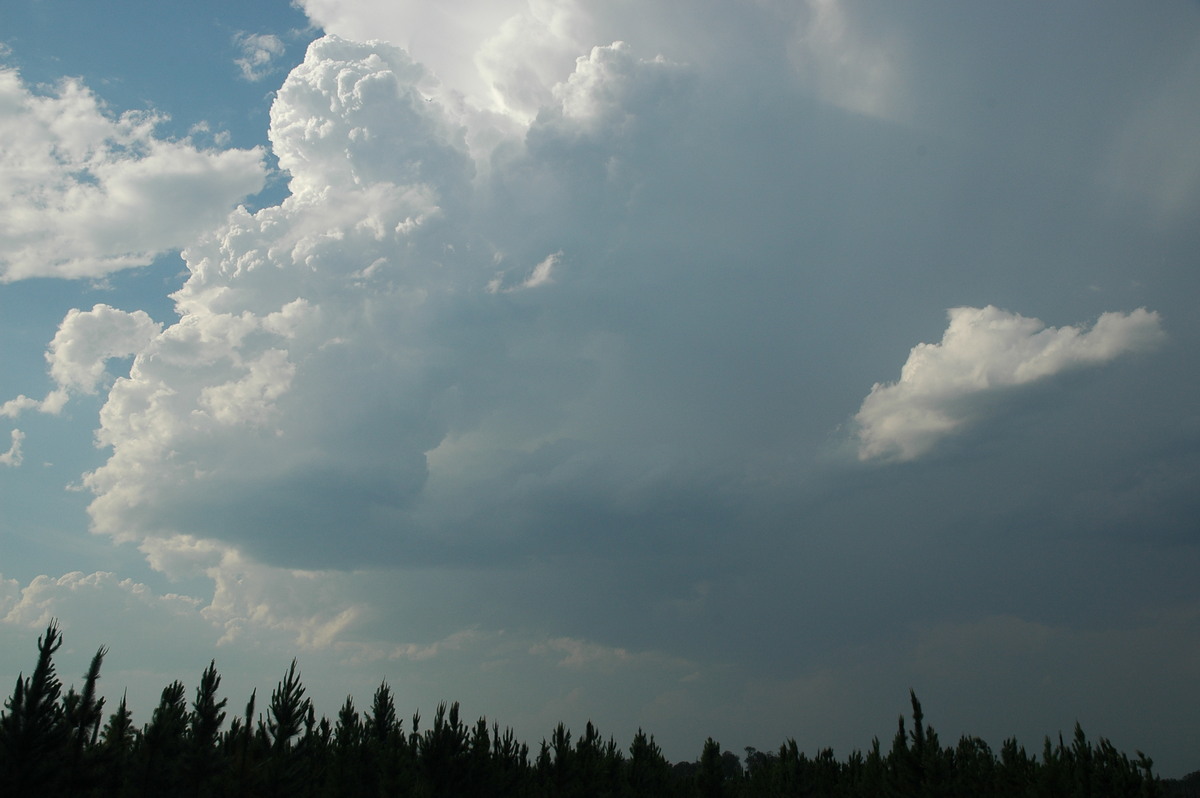 updraft thunderstorm_updrafts : Coombell, NSW   26 November 2006