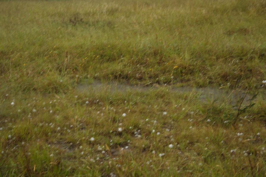 hailstones hail_stones : WNW of Ebor, NSW   27 November 2006