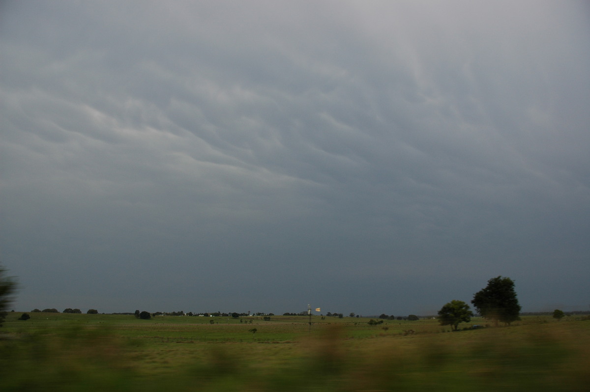 mammatus mammatus_cloud : Casino, NSW   27 November 2006