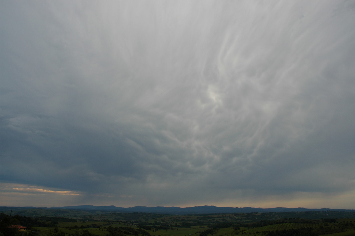 mammatus mammatus_cloud : McLeans Ridges, NSW   28 November 2006