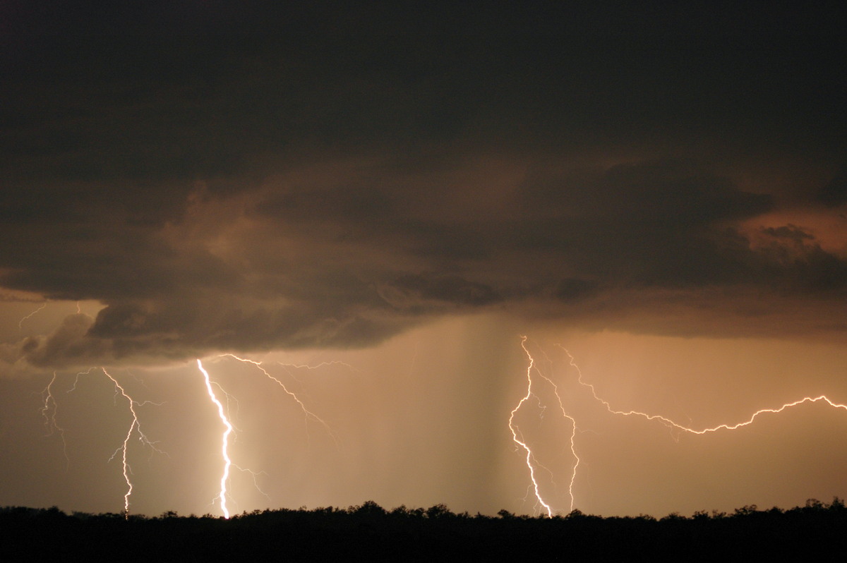 lightning lightning_bolts : Whiporie, NSW   28 November 2006