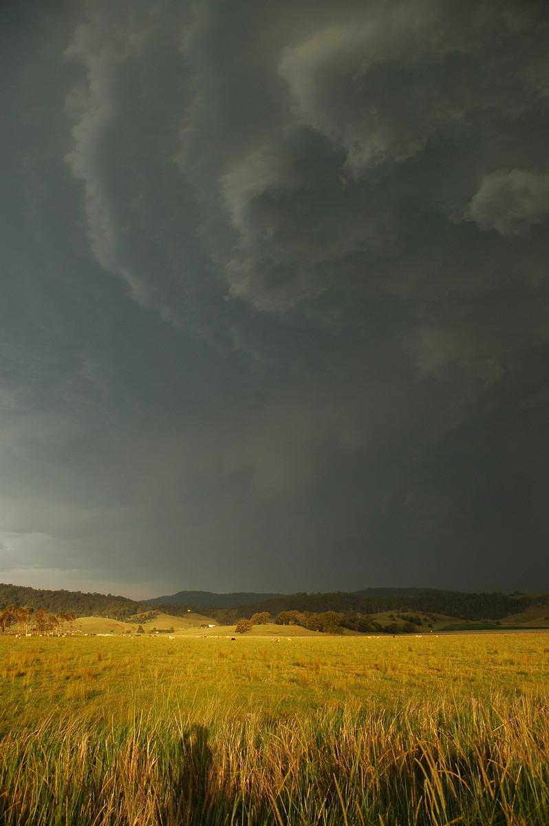 sunset sunset_pictures : S of Kyogle, NSW   29 November 2006