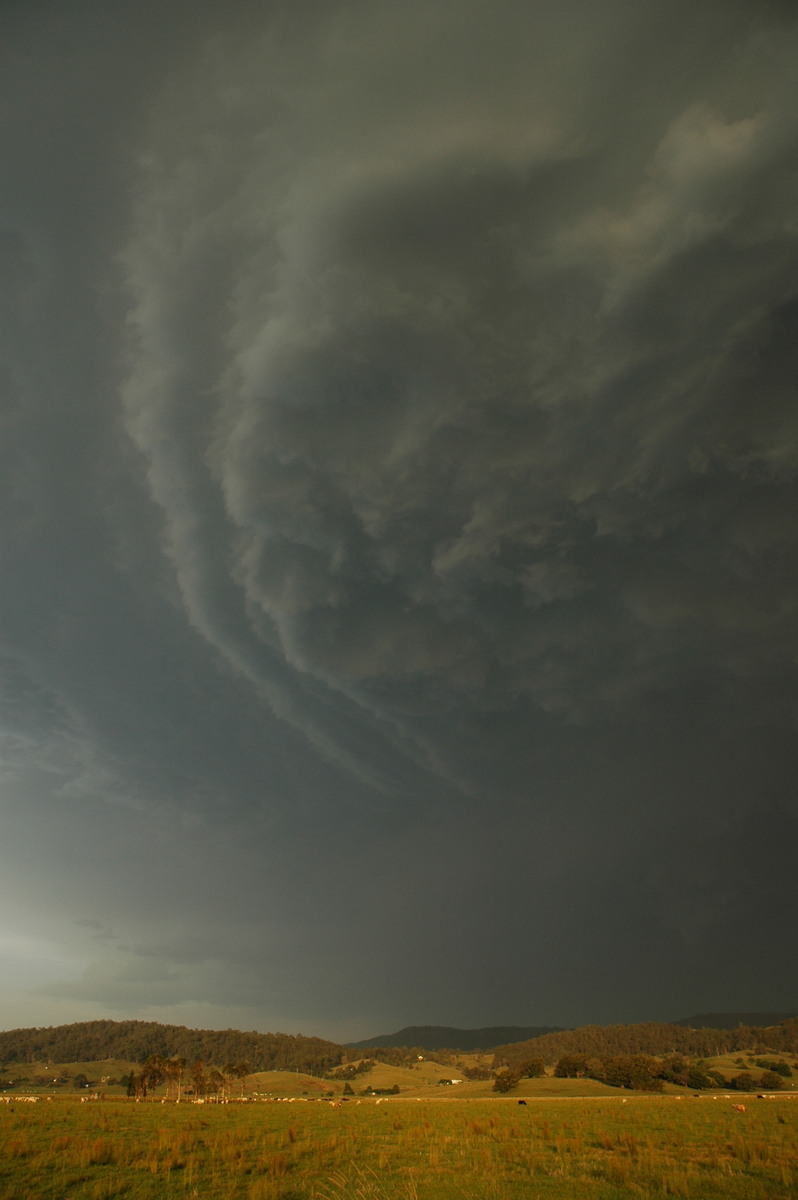 shelfcloud shelf_cloud : S of Kyogle, NSW   29 November 2006