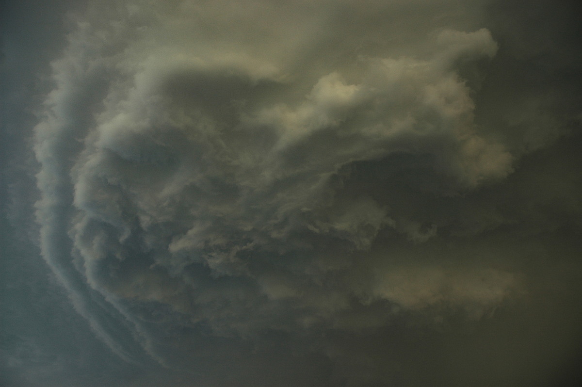 shelfcloud shelf_cloud : S of Kyogle, NSW   29 November 2006