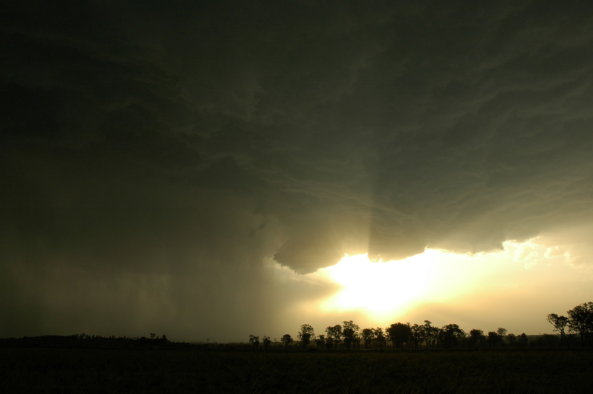 cumulonimbus thunderstorm_base : S of Kyogle, NSW   29 November 2006