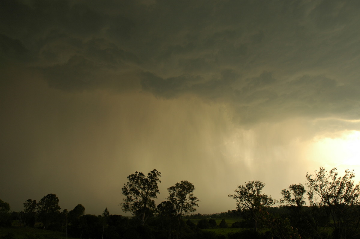 raincascade precipitation_cascade : Kyogle, NSW   29 November 2006