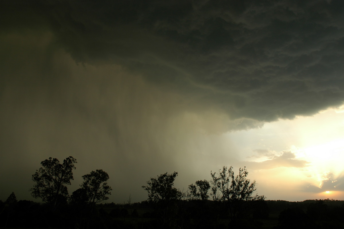 microburst micro_burst : Kyogle, NSW   29 November 2006