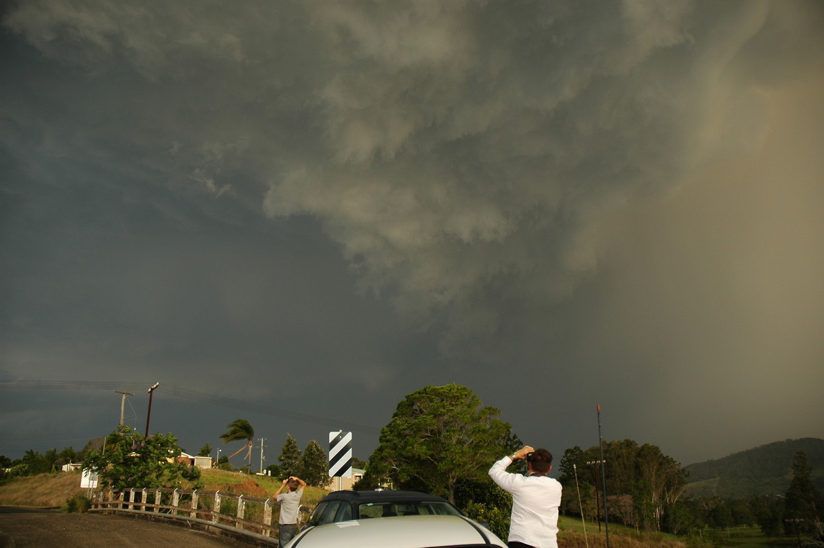 raincascade precipitation_cascade : Kyogle, NSW   29 November 2006