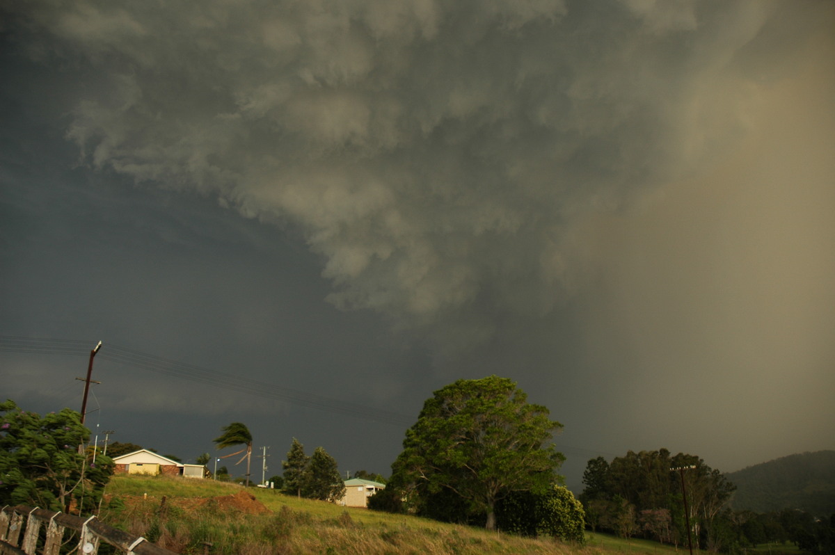 cumulonimbus thunderstorm_base : Kyogle, NSW   29 November 2006