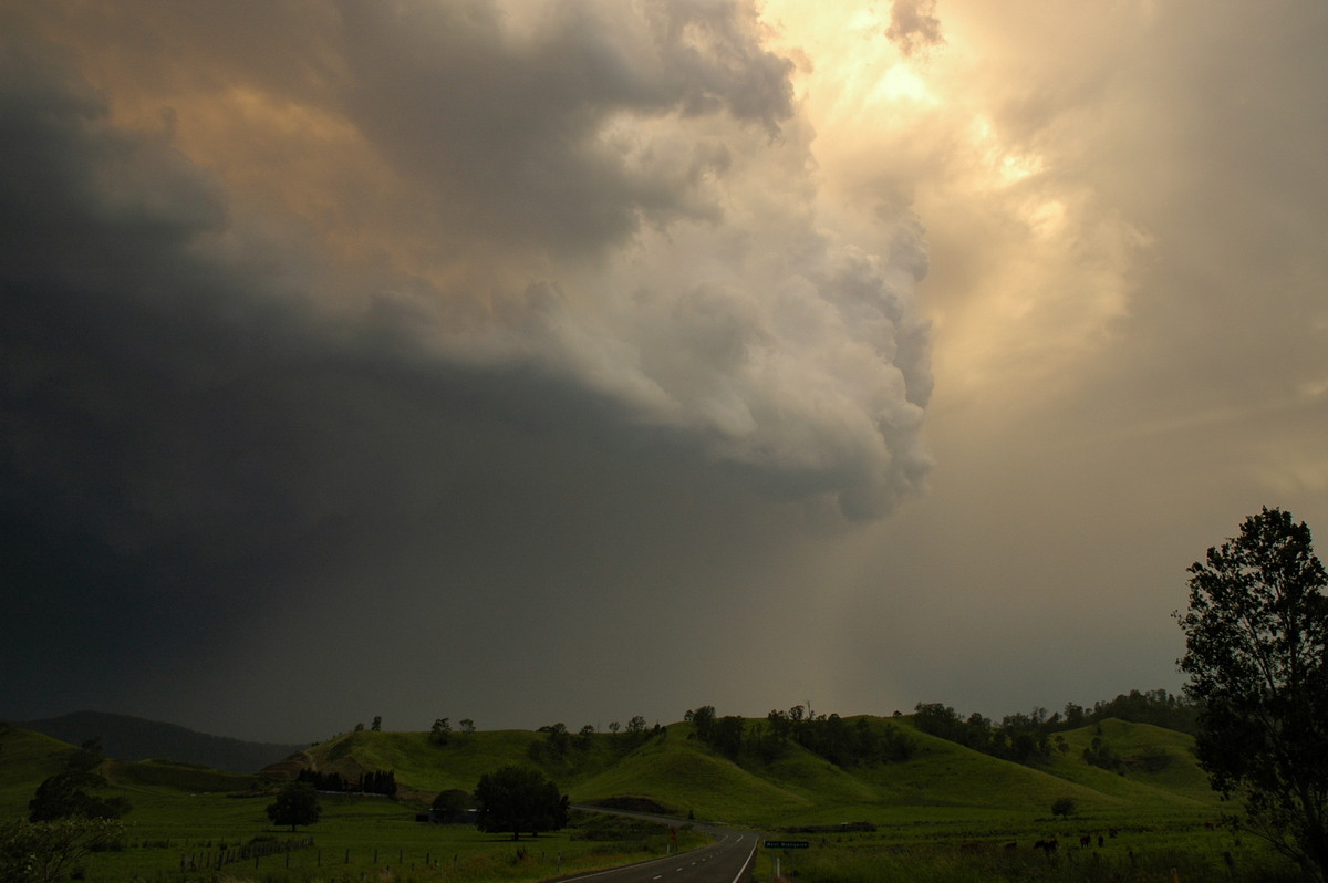 updraft thunderstorm_updrafts : Wiangaree, NSW   29 November 2006