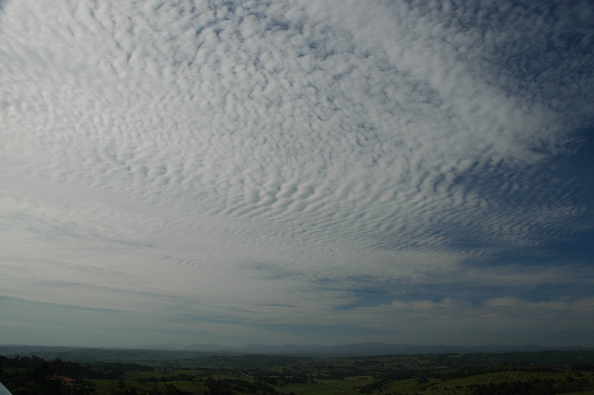 altocumulus undulatus : McLeans Ridges, NSW   1 December 2006