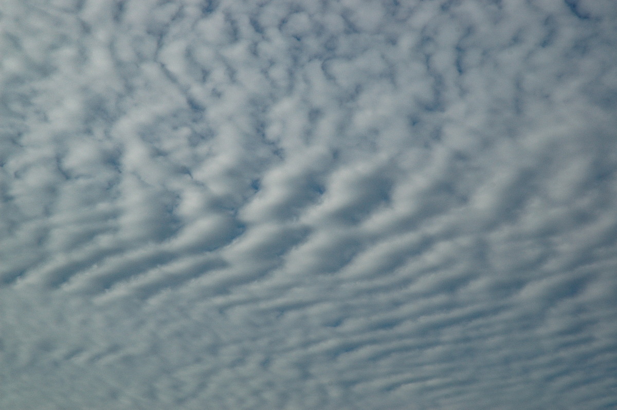 altocumulus undulatus : McLeans Ridges, NSW   1 December 2006