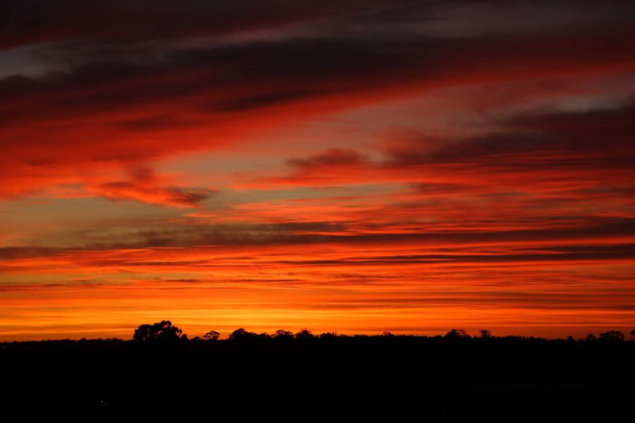 sunrise sunrise_pictures : Schofields, NSW   6 December 2006