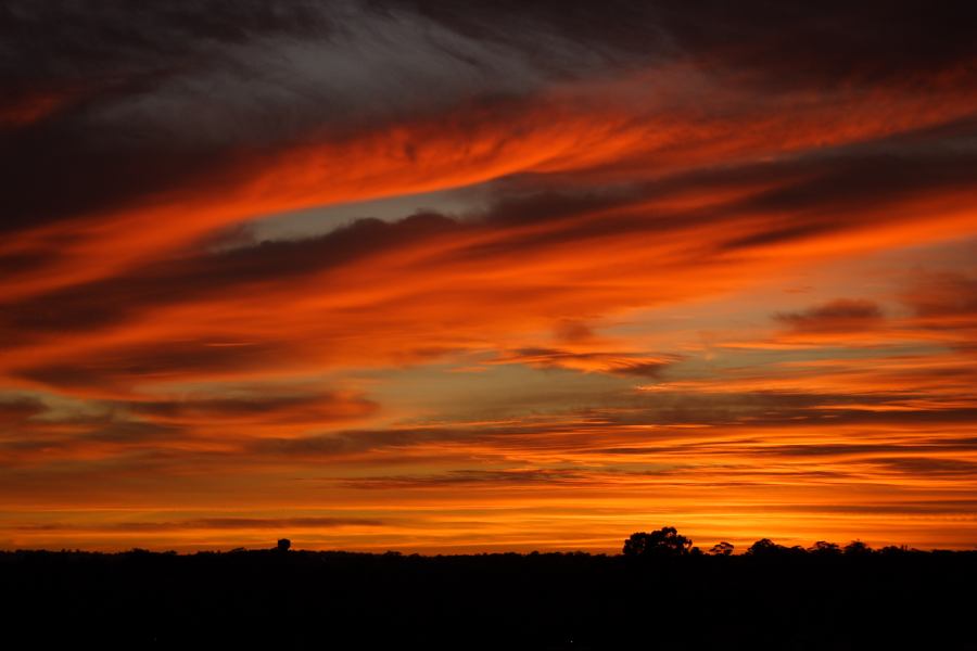 sunrise sunrise_pictures : Schofields, NSW   6 December 2006