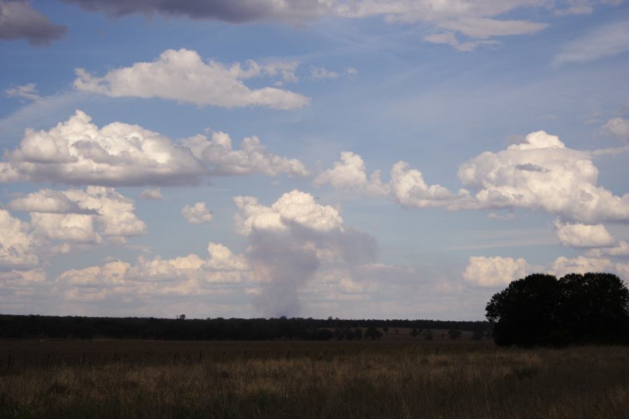 cumulus pyrocumulus : E of Premer, NSW   13 December 2006