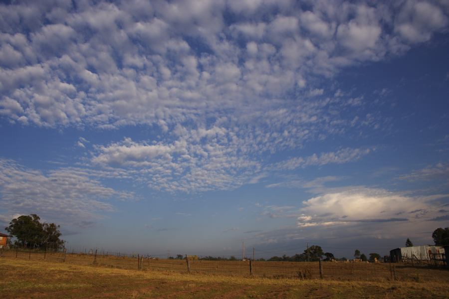 altocumulus altocumulus_cloud : Schofields, NSW   14 December 2006