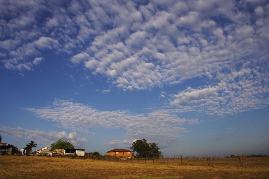 altocumulus altocumulus_cloud : Schofields, NSW   14 December 2006