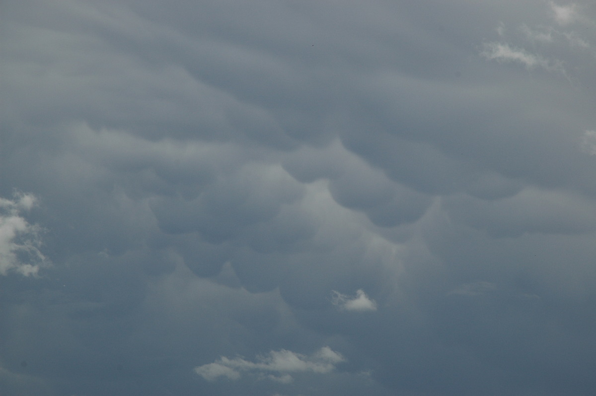 mammatus mammatus_cloud : near Coraki, NSW   14 December 2006