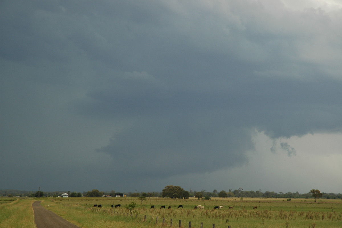 wallcloud thunderstorm_wall_cloud : McKees Hill, NSW   14 December 2006