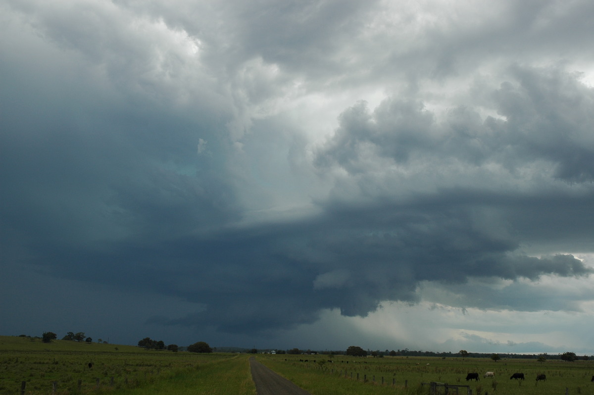 cumulonimbus supercell_thunderstorm : McKees Hill, NSW   14 December 2006