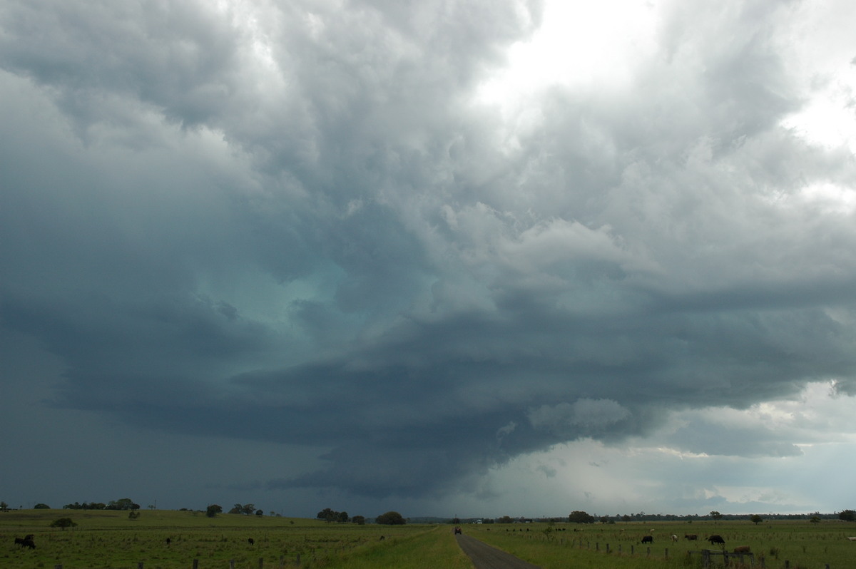 cumulonimbus supercell_thunderstorm : McKees Hill, NSW   14 December 2006