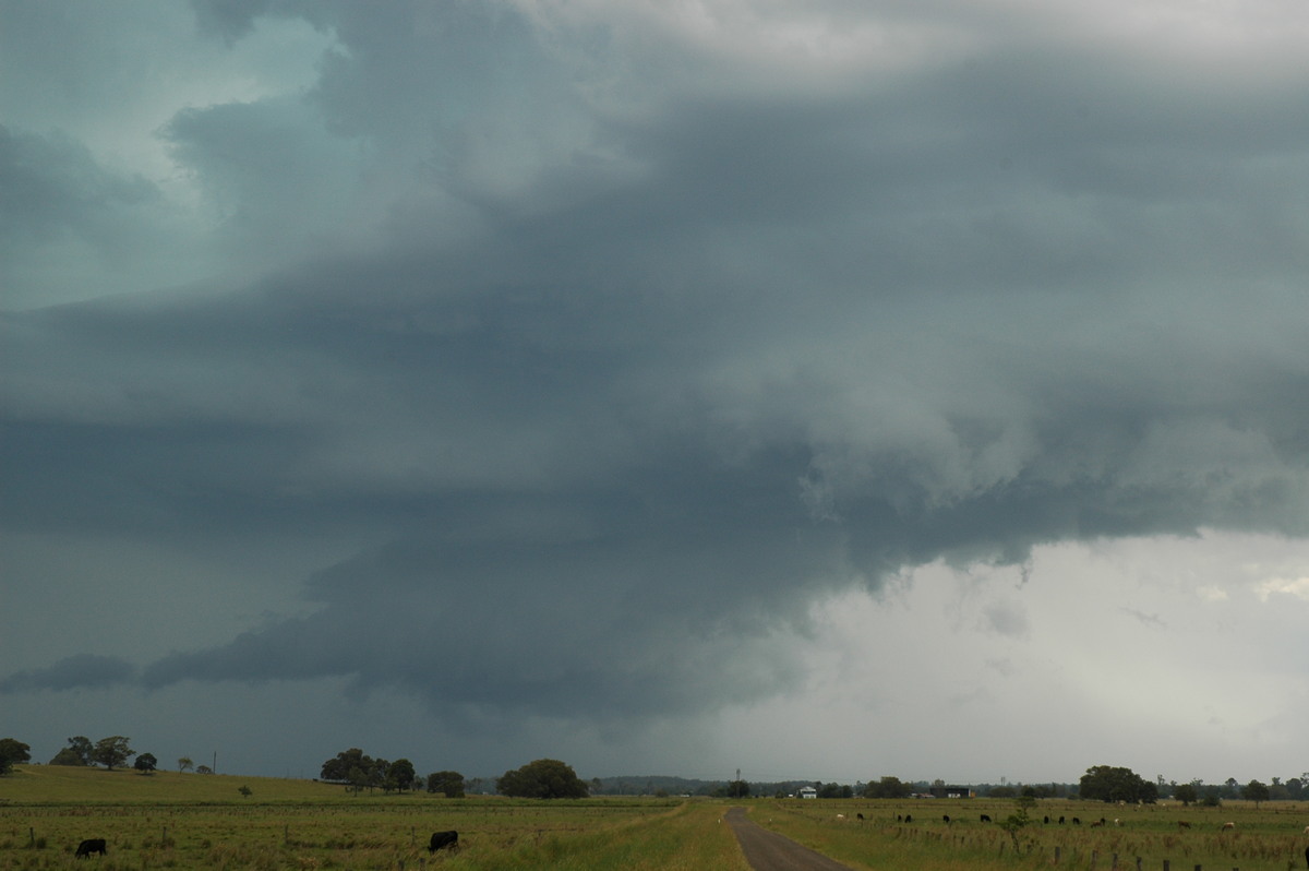 inflowband thunderstorm_inflow_band : McKees Hill, NSW   14 December 2006