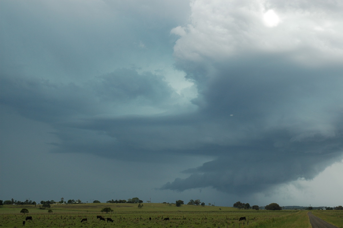 cumulonimbus supercell_thunderstorm : McKees Hill, NSW   14 December 2006