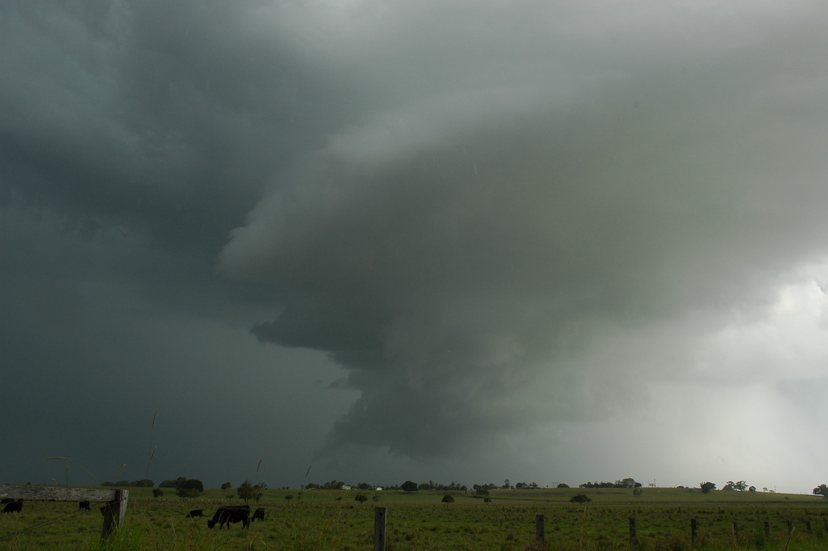 wallcloud thunderstorm_wall_cloud : McKees Hill, NSW   14 December 2006