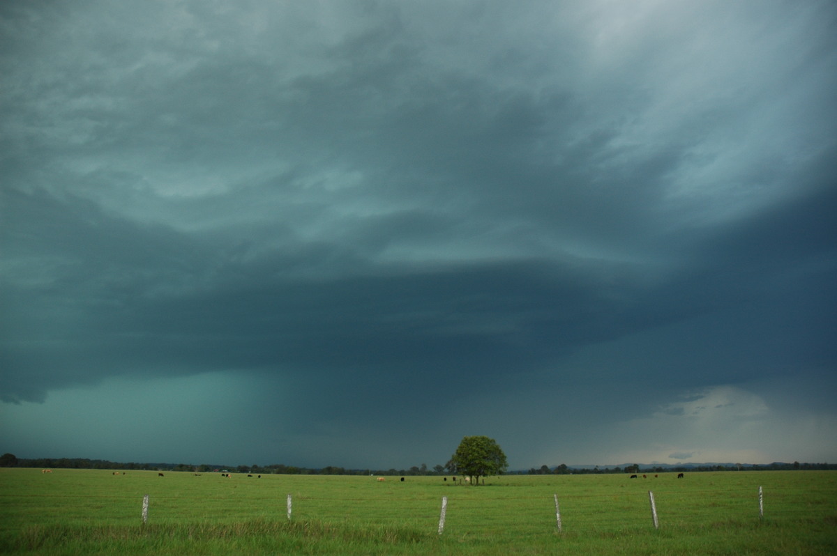 cumulonimbus thunderstorm_base : N of Casino, NSW   15 December 2006