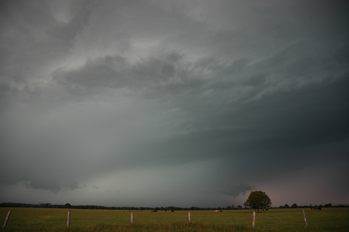 raincascade precipitation_cascade : N of Casino, NSW   15 December 2006