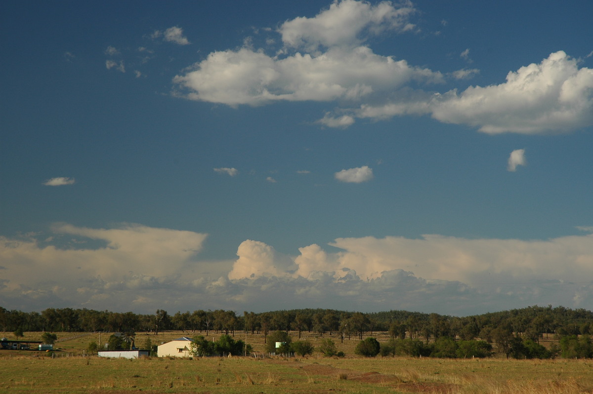 thunderstorm cumulonimbus_calvus : near Texas, QLD   16 December 2006