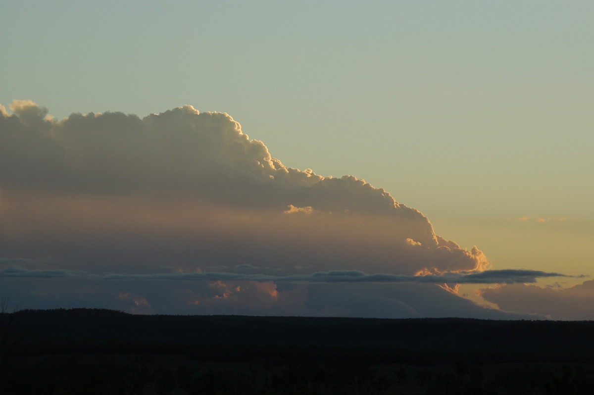 cumulus congestus : near Texas, QLD   16 December 2006