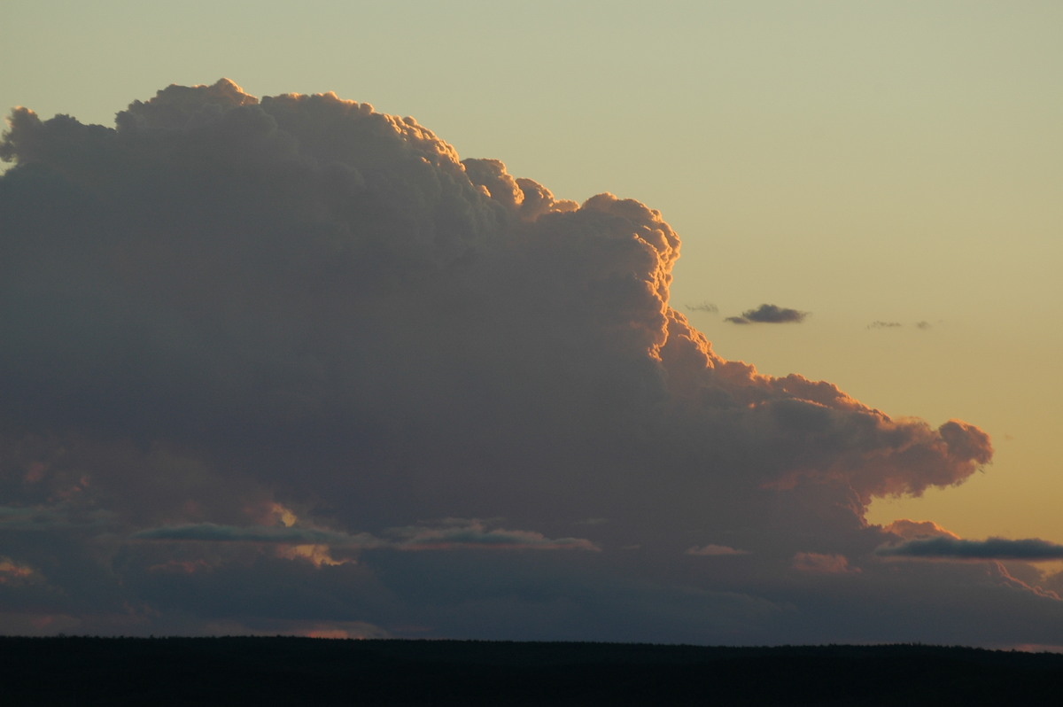 cumulus congestus : near Texas, QLD   16 December 2006